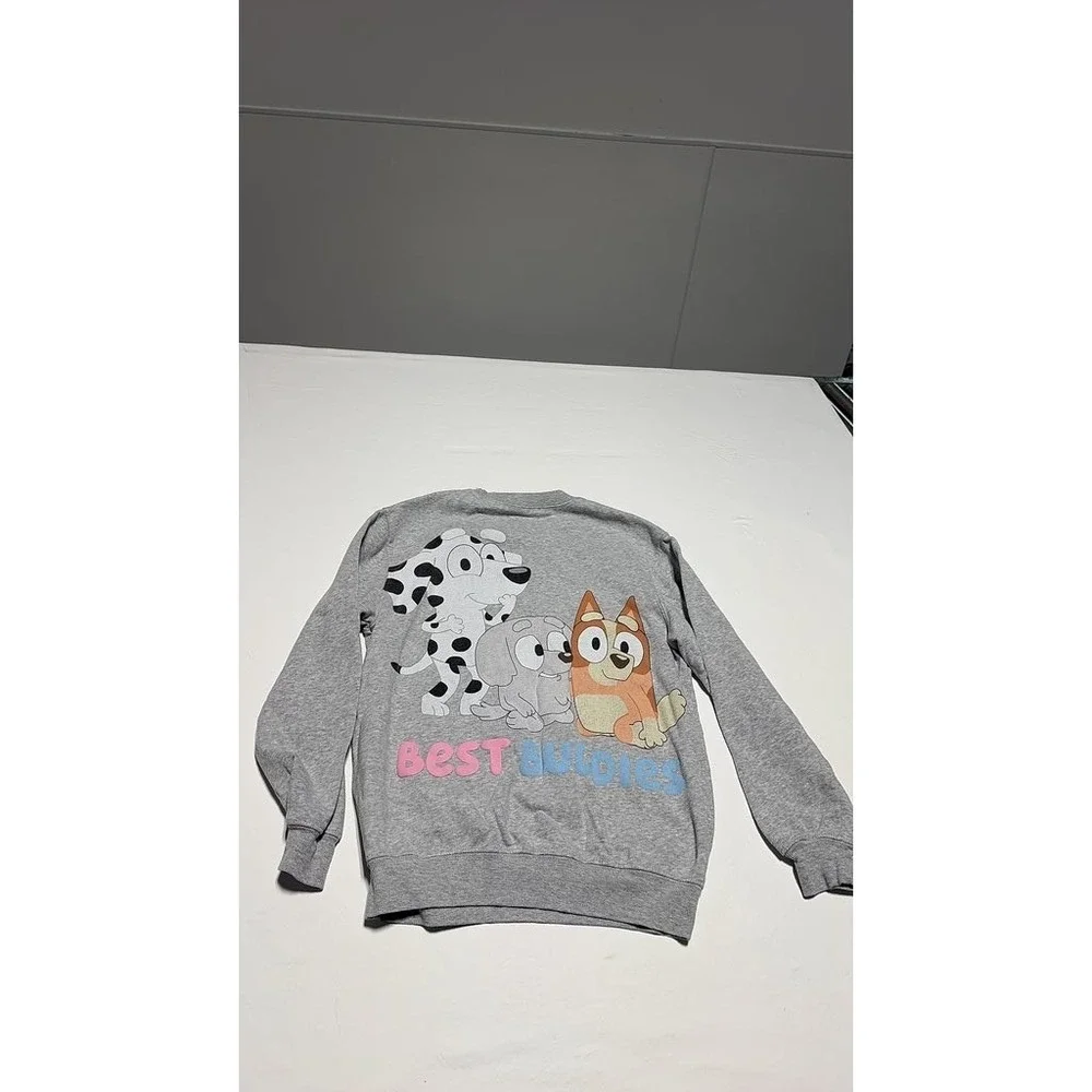 Hybrid Bluey Graphic Kids Sweatshirt Gray Best Buddies Pullover XS
